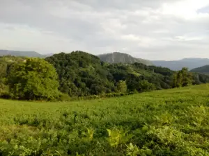 Jadar
