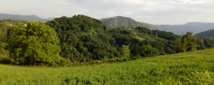 Jadar