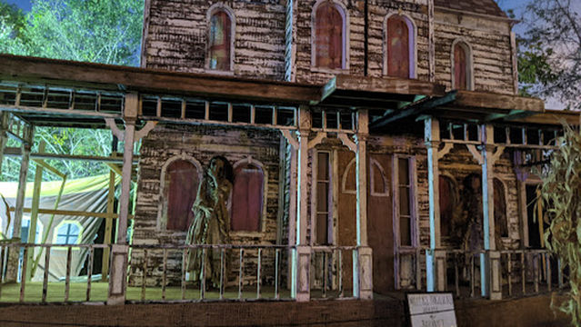 Millers Thrillers Haunted Woods