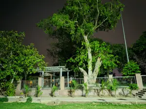 Purana Quila
