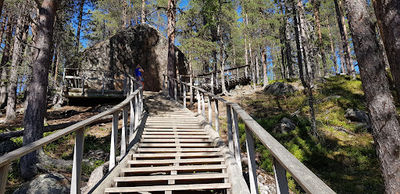 Karhunpesäkivi