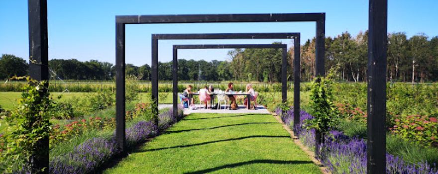 Bliss; kunst, training en coaching