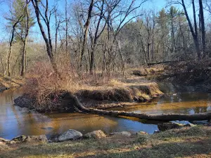 Roche-A-Cri Mound State Natural Area
