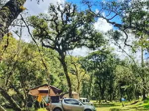 Camping Minatti & Ramos