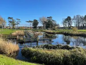 Portadown People's Park