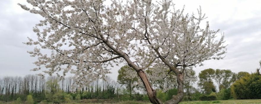 Oasi di Chiesavecchia – Parco fluviale “Egidio Guerra”
