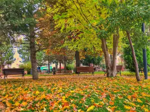 Teachers Park June 27