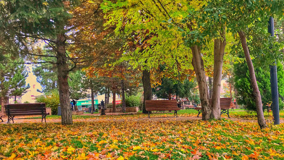 Teachers Park June 27