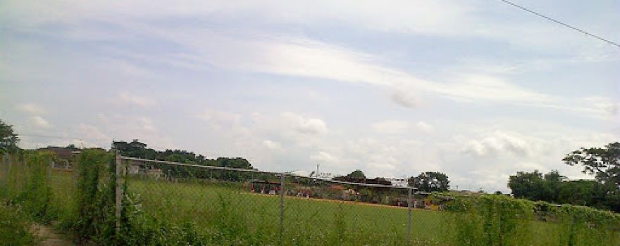 Estadio de Beisbol O´leary