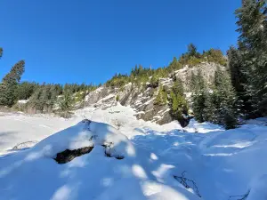 Snow Lake Trailhead