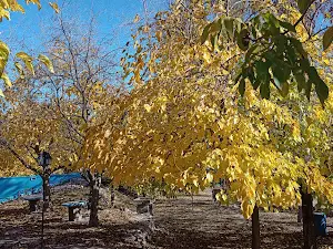 Balneario El Manchao
