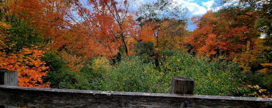 Cilleyville Covered Bridge