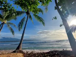 Lane's Kalapyahan Beach Resort