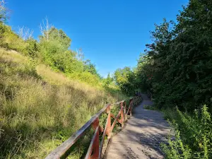 Nature Preserve Radouč