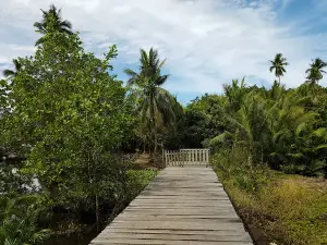 Joronga beach