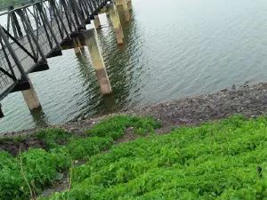 Shahanoor River