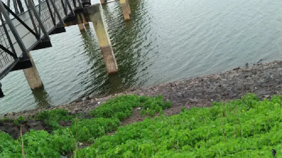 Shahanoor River