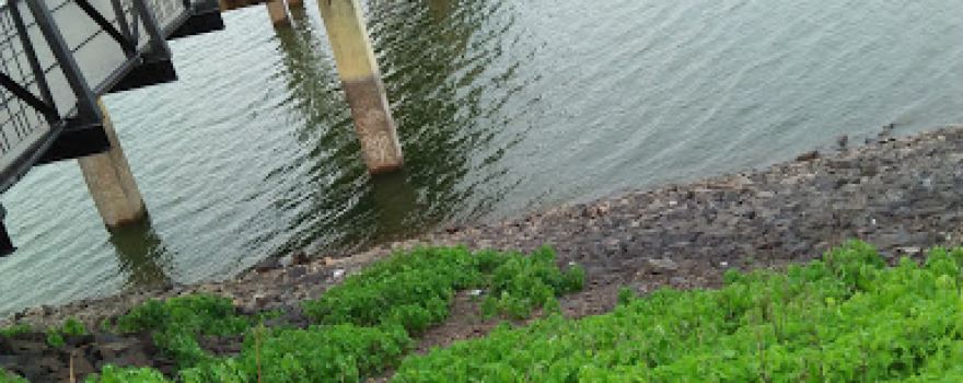 Shahanoor River
