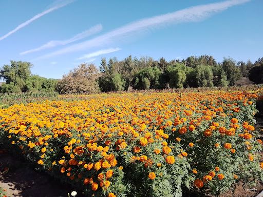 Rancho Hermanos Heredia
