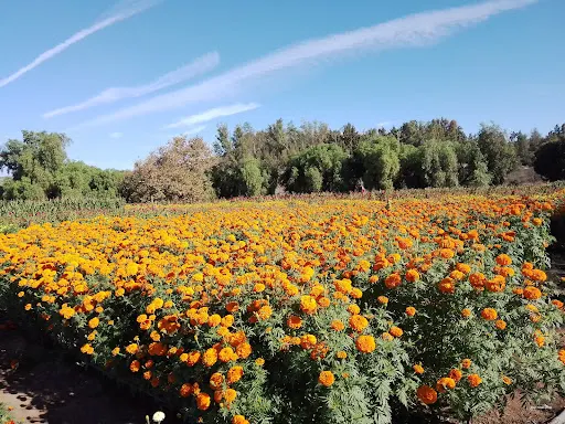 Rancho Hermanos Heredia