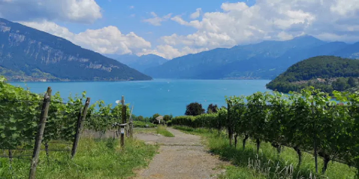 葡萄酒釀造歷史博物館