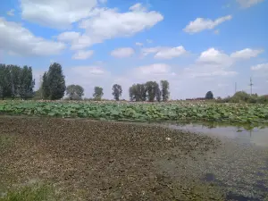 ロトソヴィエ・ポリャ