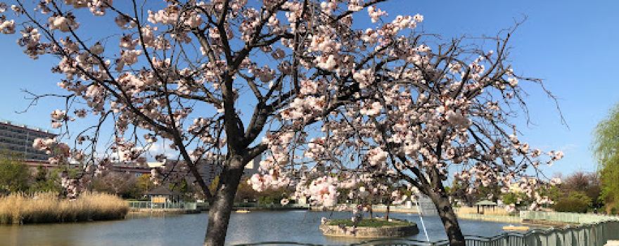 Ichibaike Park