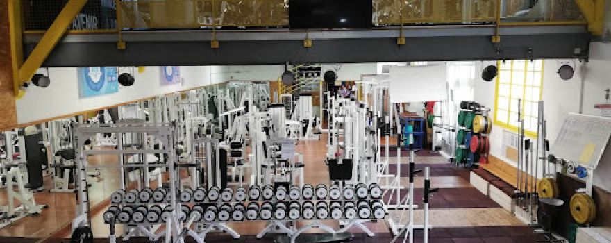 Koala Club - salle de sport