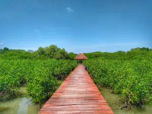 Kawasan Konservasi Hutan Mangrove "Jembatan Merah"