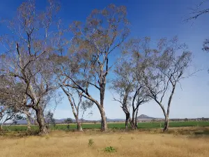 Namoi River
