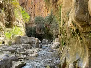 Wadi Bin Hammad Visitor Center