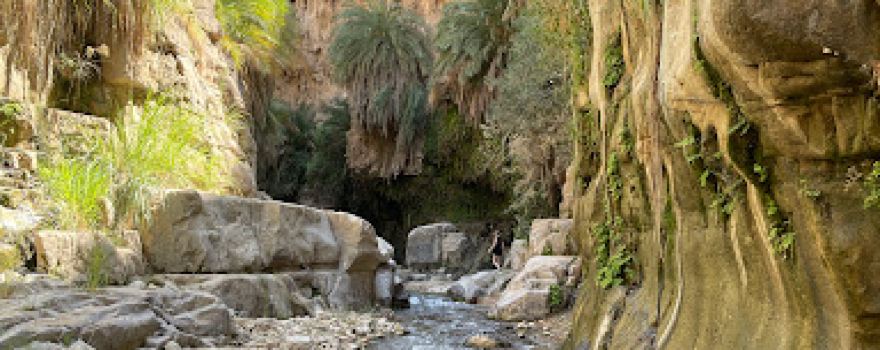 Wadi Bin Hammad Visitor Center