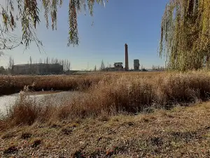 Tank-Memorial