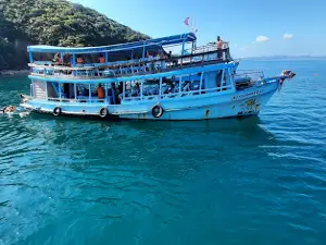 SeeFaa Tour