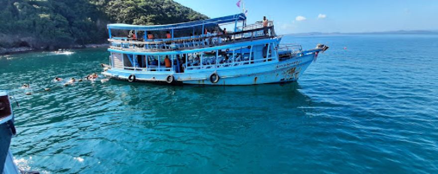 SeeFaa Tour