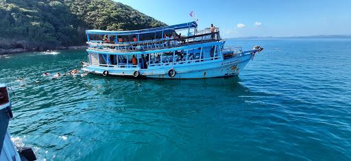 SeeFaa Tour