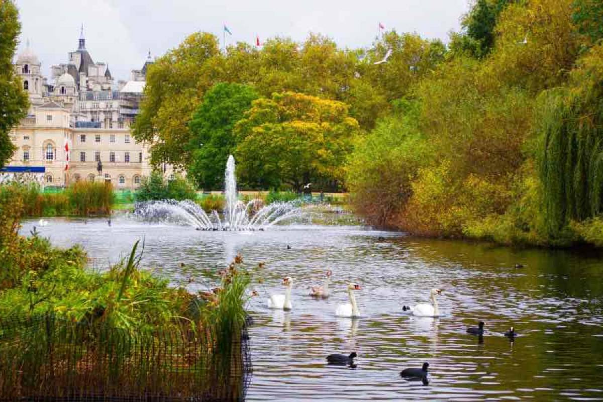 倫敦自由行 | 聖詹姆斯公園