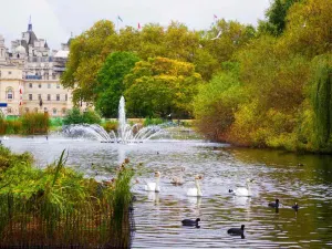 St. James's Park