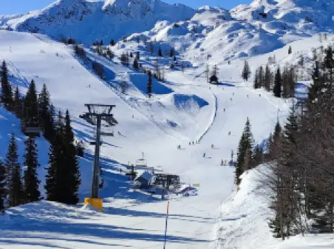 Vogel Ski Resort