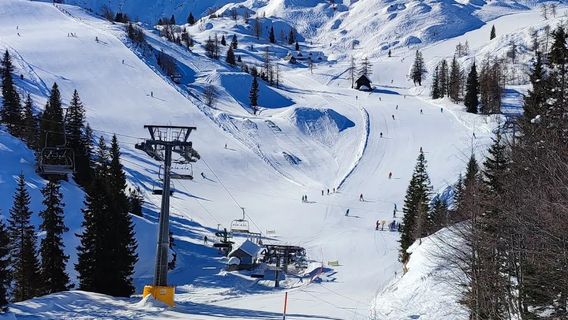 Vogel Ski Resort