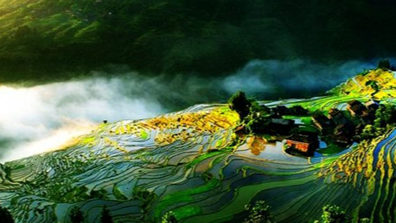 Congjiang Scenic Area