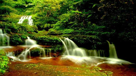 Yanziyan National Forest Park