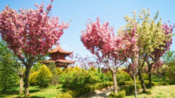 Water Park (Northeast Gate)