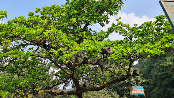 Aagumbe Sunset Viewpoint