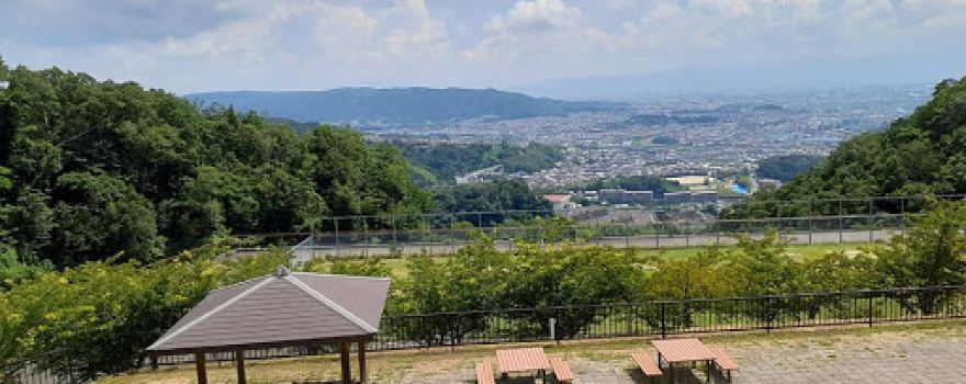 Satoyama (Village forest) park on Tatsuta kodou (Historical way)