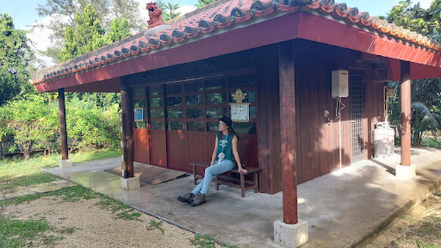 Squirrel Monkey Forest