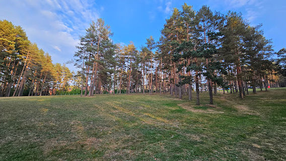Zlatibor