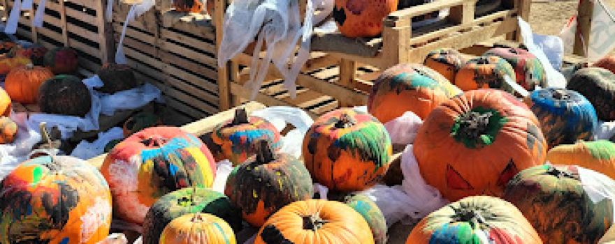 Fattoria della Zucca