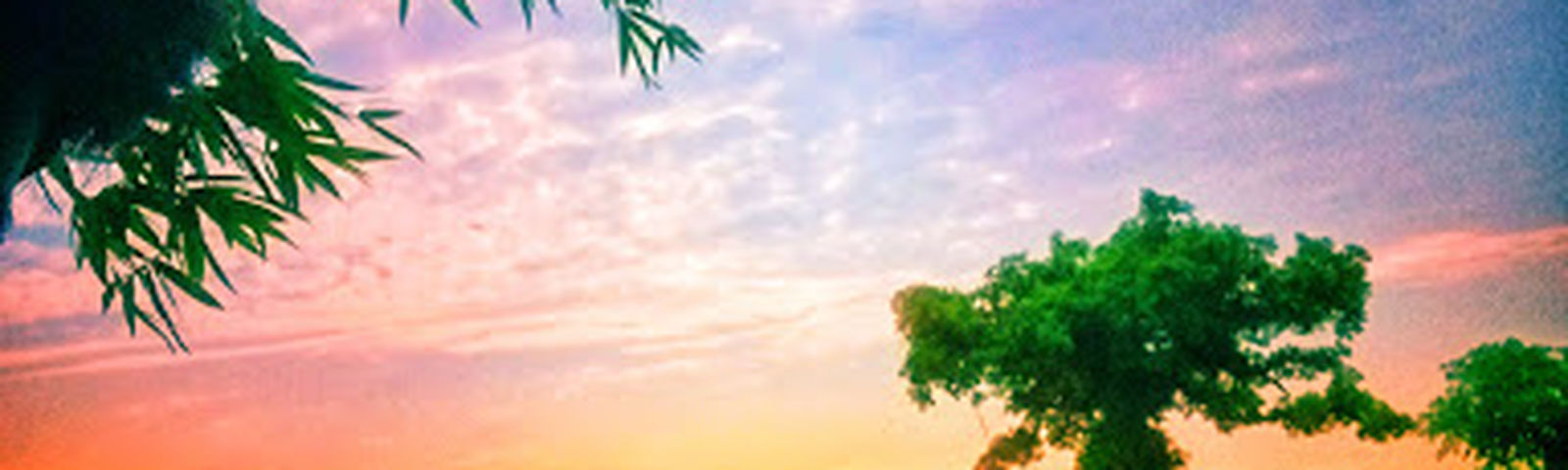 travel