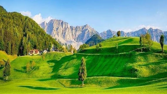 Afghanistan Cricket Board